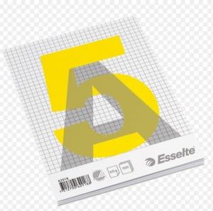 Bloknotas, plėšomas, Esselte, A5/100, langeliais