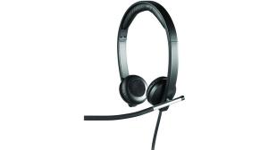 Ausinės Logitech H650e Stereo USB (981-000519)