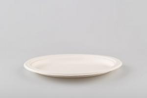 Vienkartinės lėkštės BIO, iš cukranendrių pluošto, D 23 cm, 50 vnt