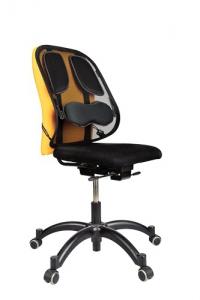 Ergonominė atrama nugarai Fellowes Professional, juodos spalvos