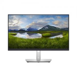 Monitorius Dell LCD P2422H 23.8 inch, sidabrinės/juodos spalvos