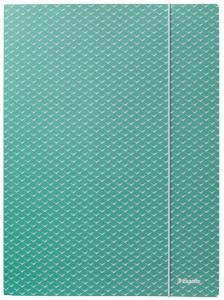 Dėklas dokumentams su gumele Esselte Colour'Breeze, A4, kartoninis, žalia