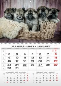 Sieninis kalendorius College UNO, lietuvių kalba, 2026m, nr.8