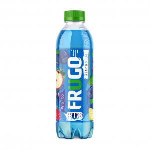 Vaisių sulčių gėrimas FRUGO, mėlynių skonio, 500 ml