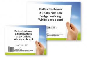 Kartonas A4 250g, 10 lapų, baltos spalvos