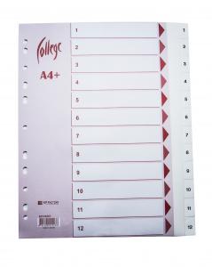 Skiriamieji lapai College, A4+, 1-12, plastikiniai, baltos spalvos