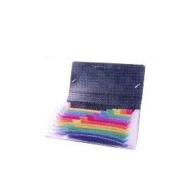 Dėklas dokumentams Viquel Rainbow, 26x13,5cm, 12 skyrelių, su gumelėmis, plastikinis, juodos spalvos