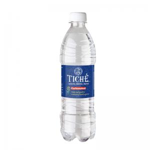 Natūralus mineralinis vanduo Tichė, gazuotas, 0,5l (D)