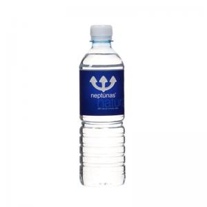 Mineralinis vanduo Neptūnas, negazuotas, 0.5l (D)