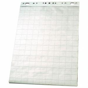 Bloknotas konferencijų stovui 65x100cm 50 lapų langeliais Esselte