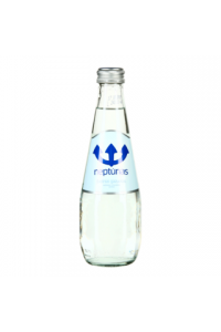 Mineralinis vanduo Neptūnas, gazuotas, stikle, 0.33l (D)