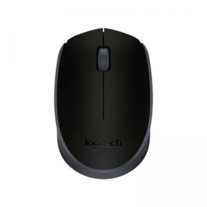 Bevielė optinė pelė Logitech M171 USB, juodos spalvos
